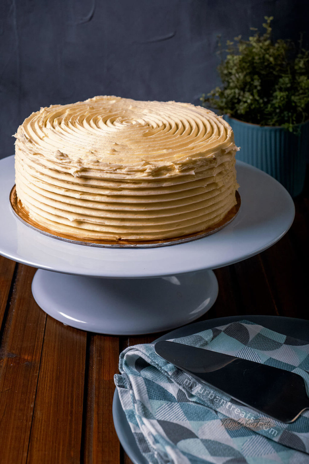 Cake It's Been A Long Time Fluffy Vanilla Cake Recipe | My Urban Treats