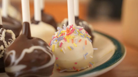 The Cake Puck mold set [Video]  Cake pop recipe easy, Chocolate covered  treats, Fun baking recipes